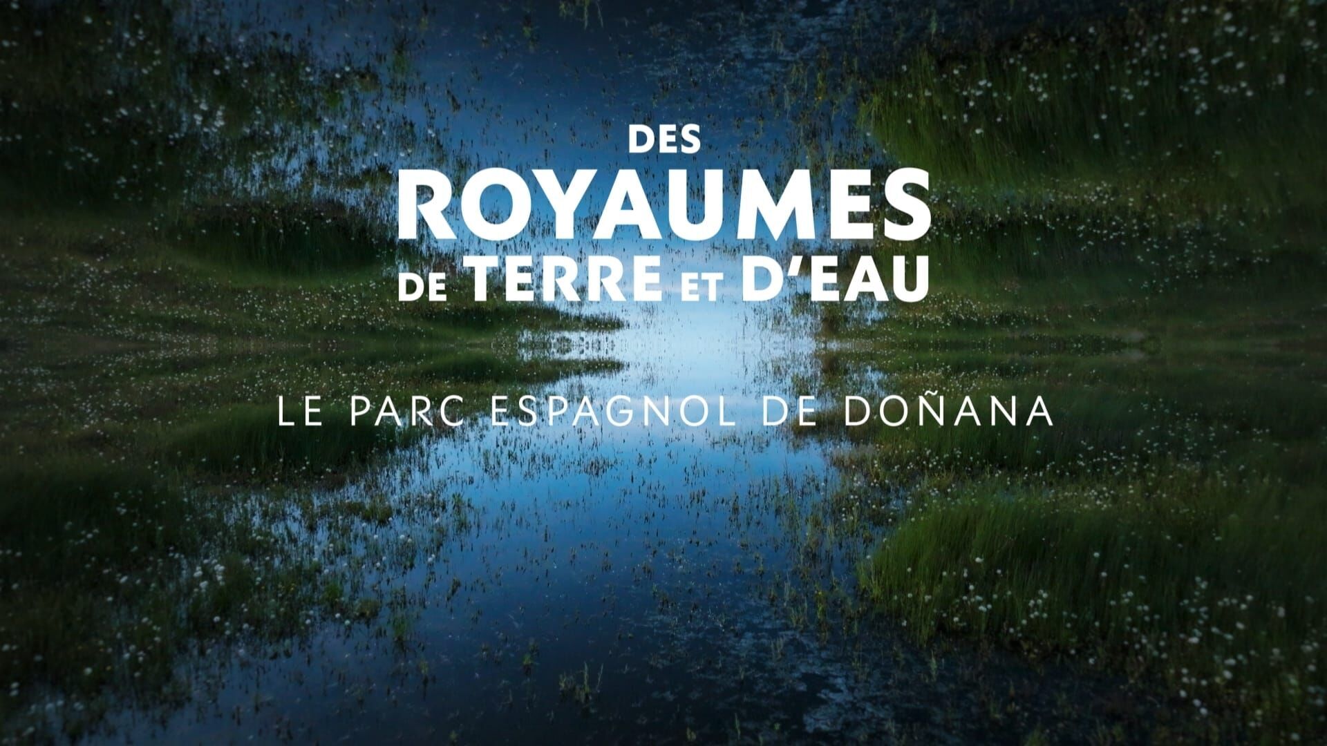 Le parc espagnol de Doñana