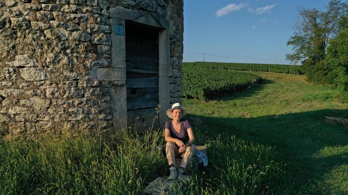 Bourgogne, terre de vignes