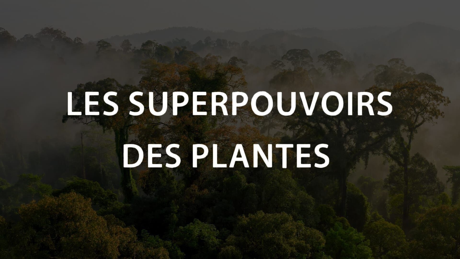 Nos meilleures alliées