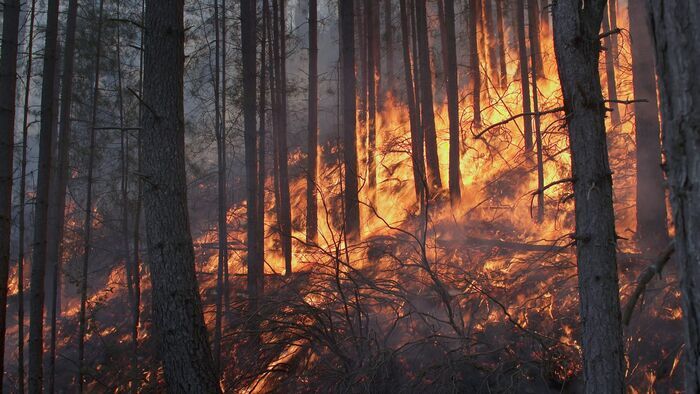 Corse, les maquisards du feu
