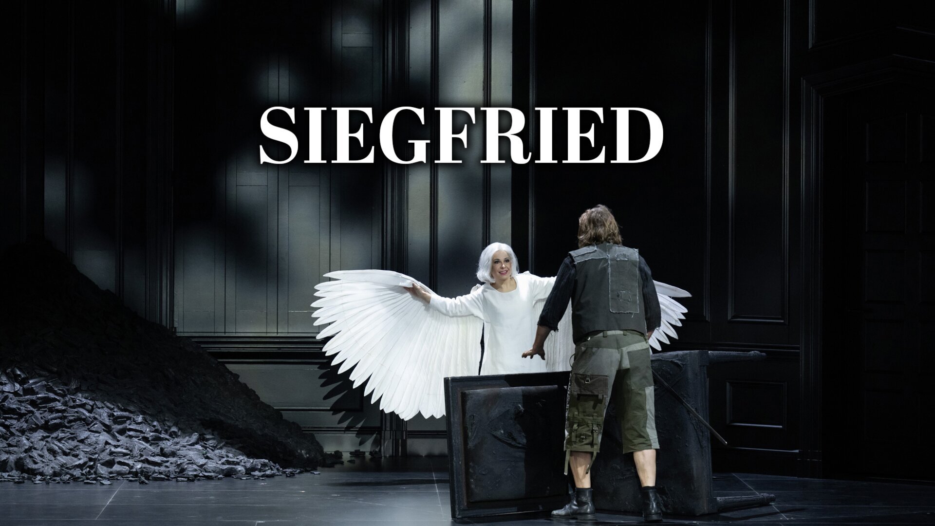 Siegfried