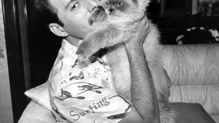 Freddie Mercury : The Great Pretender