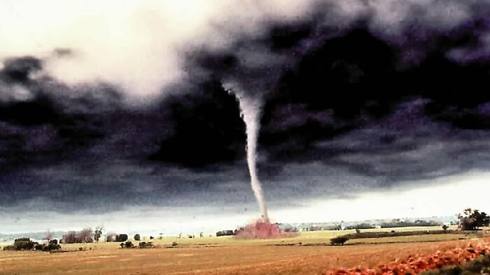 Twister