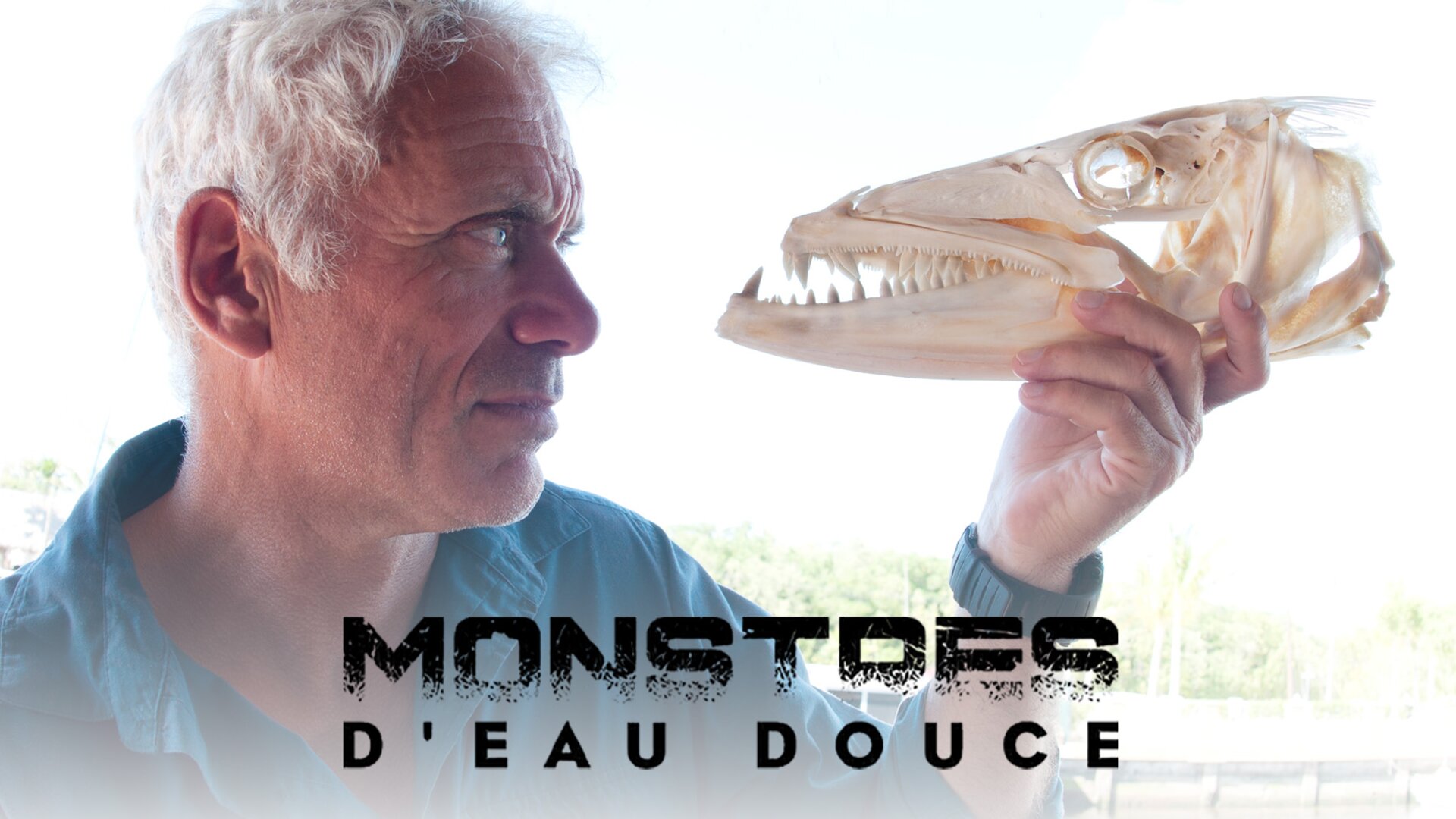 Le tueur de la banquise