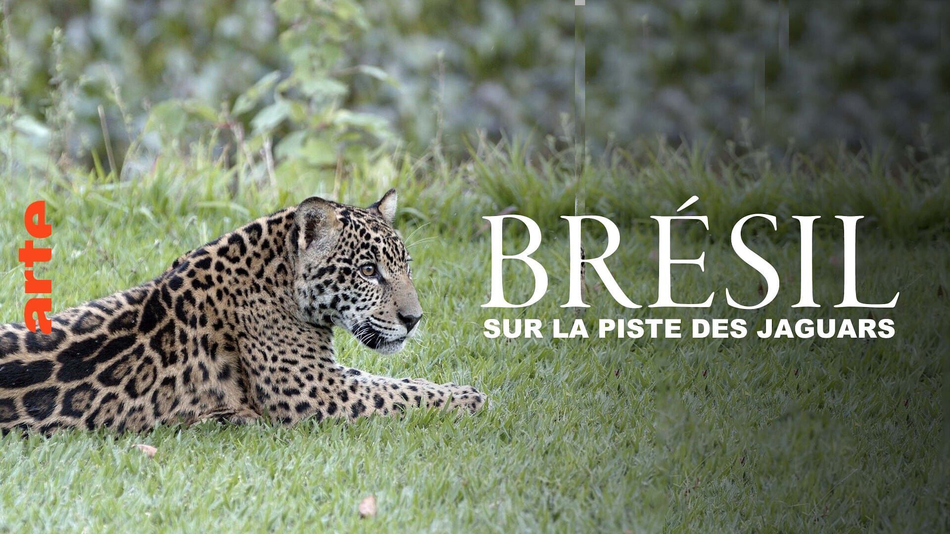 Sous l'oeil des chercheurs