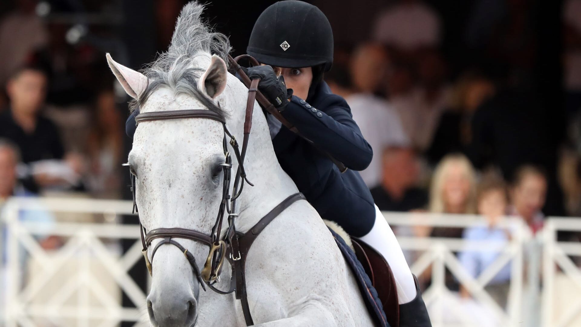 Equitation : Global Champions Tour