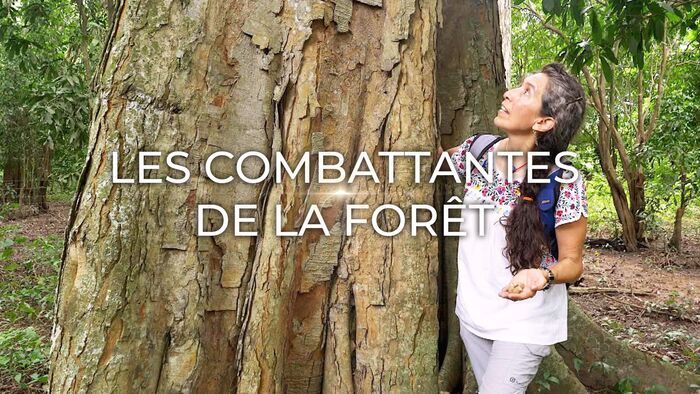 Les combattantes de la forêt