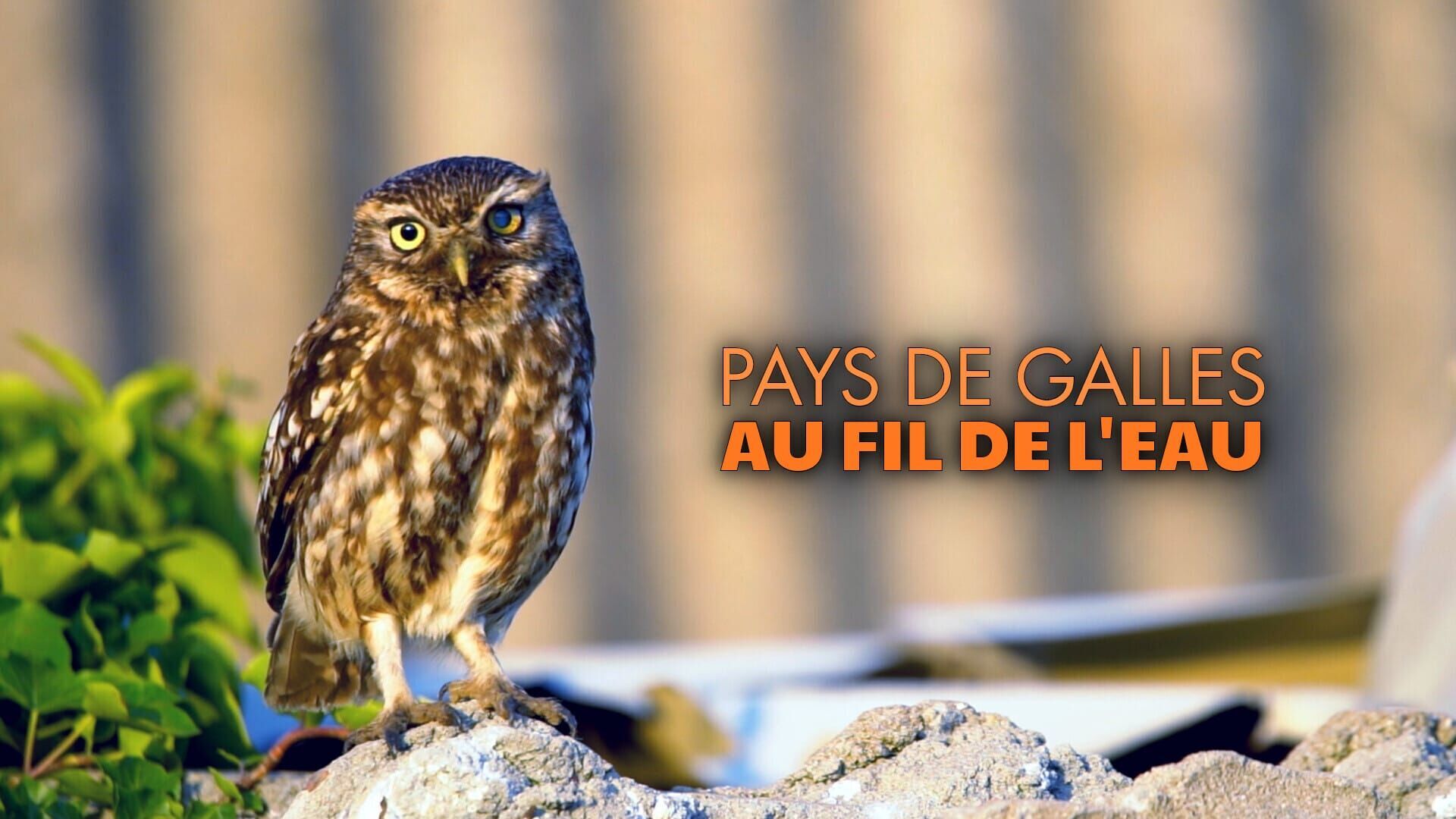 Pays de Galles : Au fil de l'eau