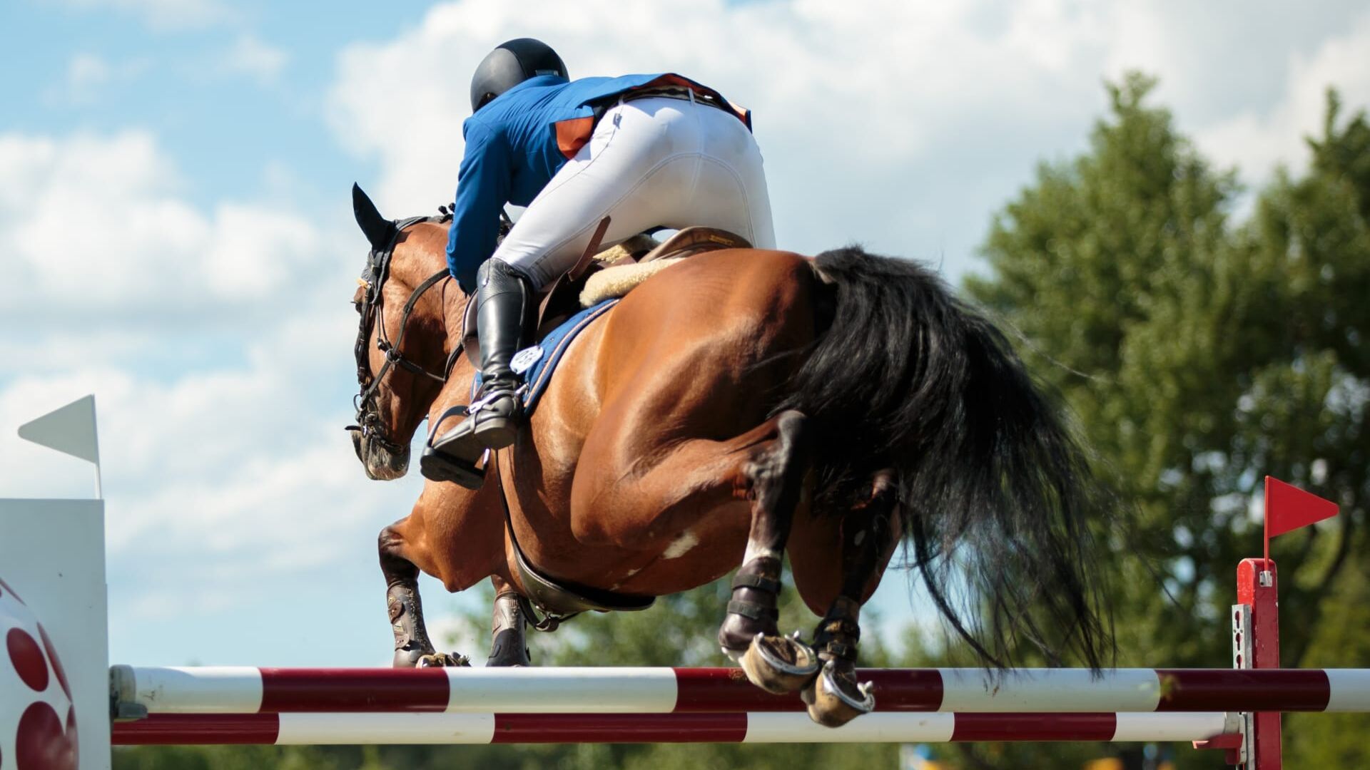 Equitation : Global Champions League