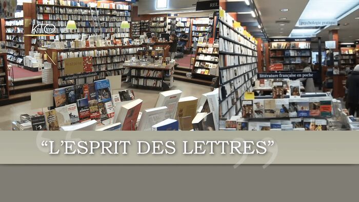 Véronique Albanel, Émeric Saucourt-Harmel, Martin Steffens