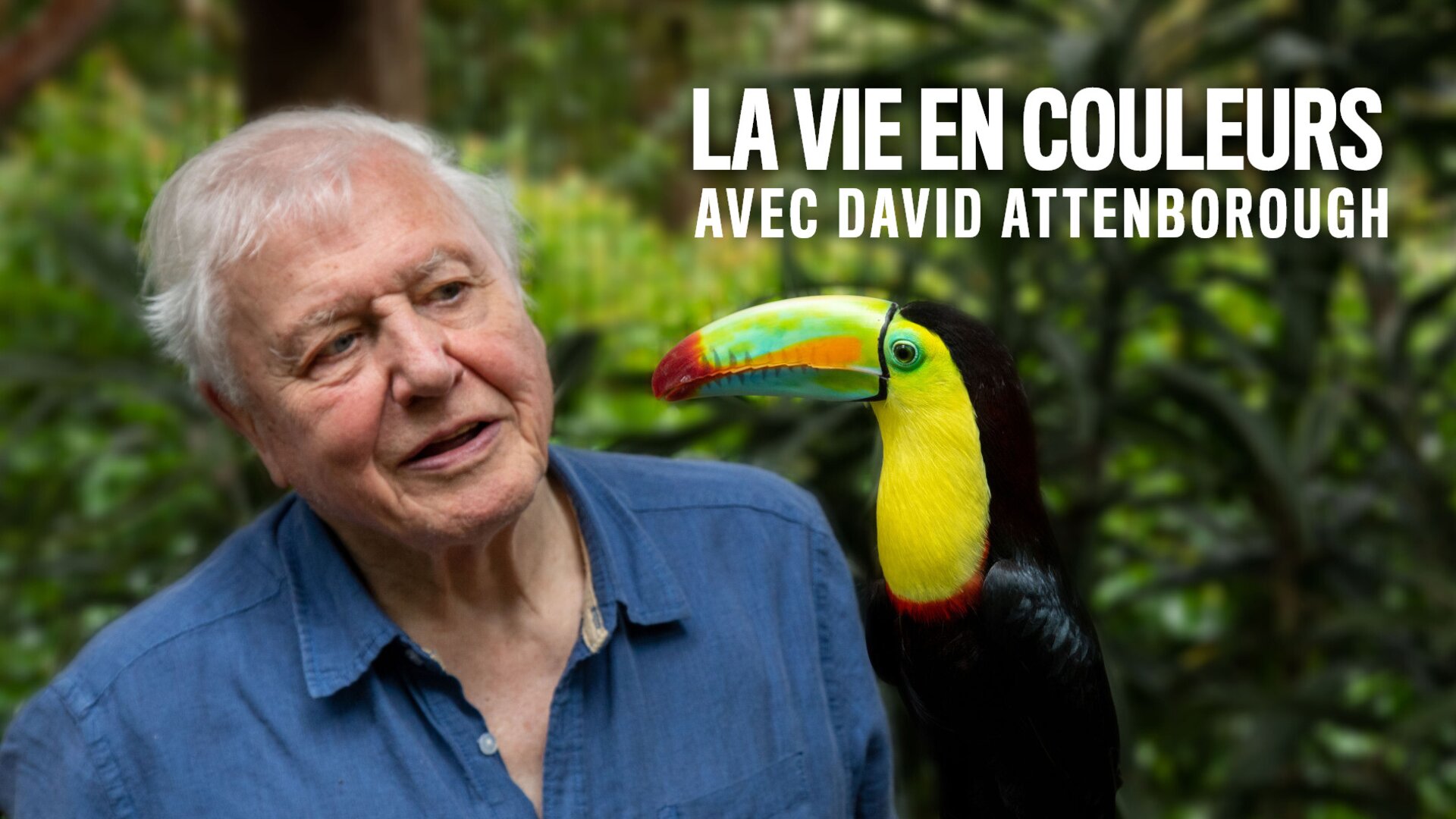 Couleurs et camouflage