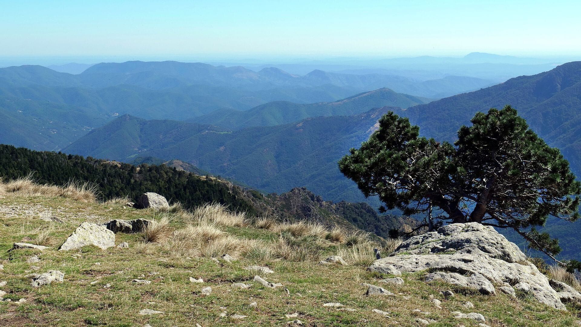 Causses, monts et vallées