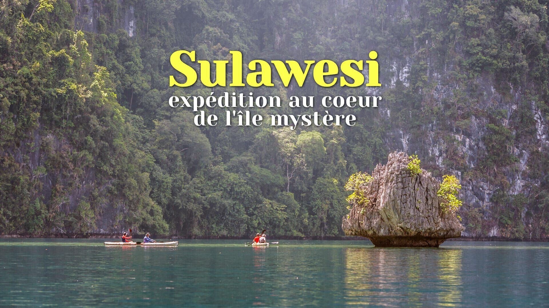 Sulawesi : expédition au coeur de l'île mystère