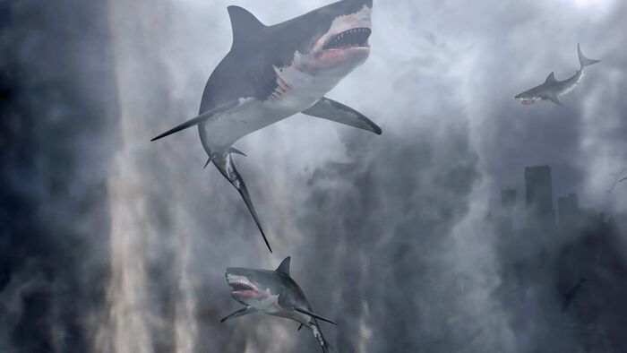 Sharknado : Le 4e réveil