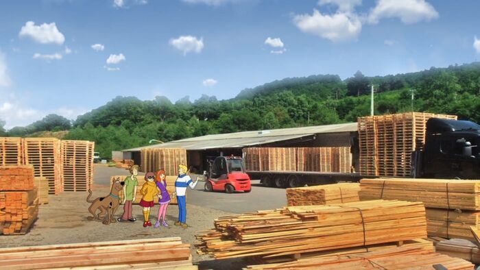 La déforestation