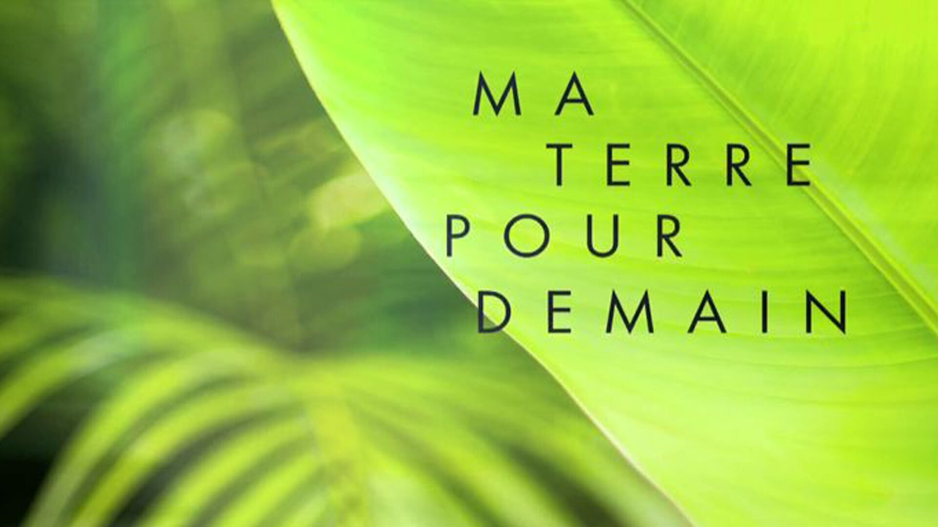 Ounou Cagnewa / Île des pins