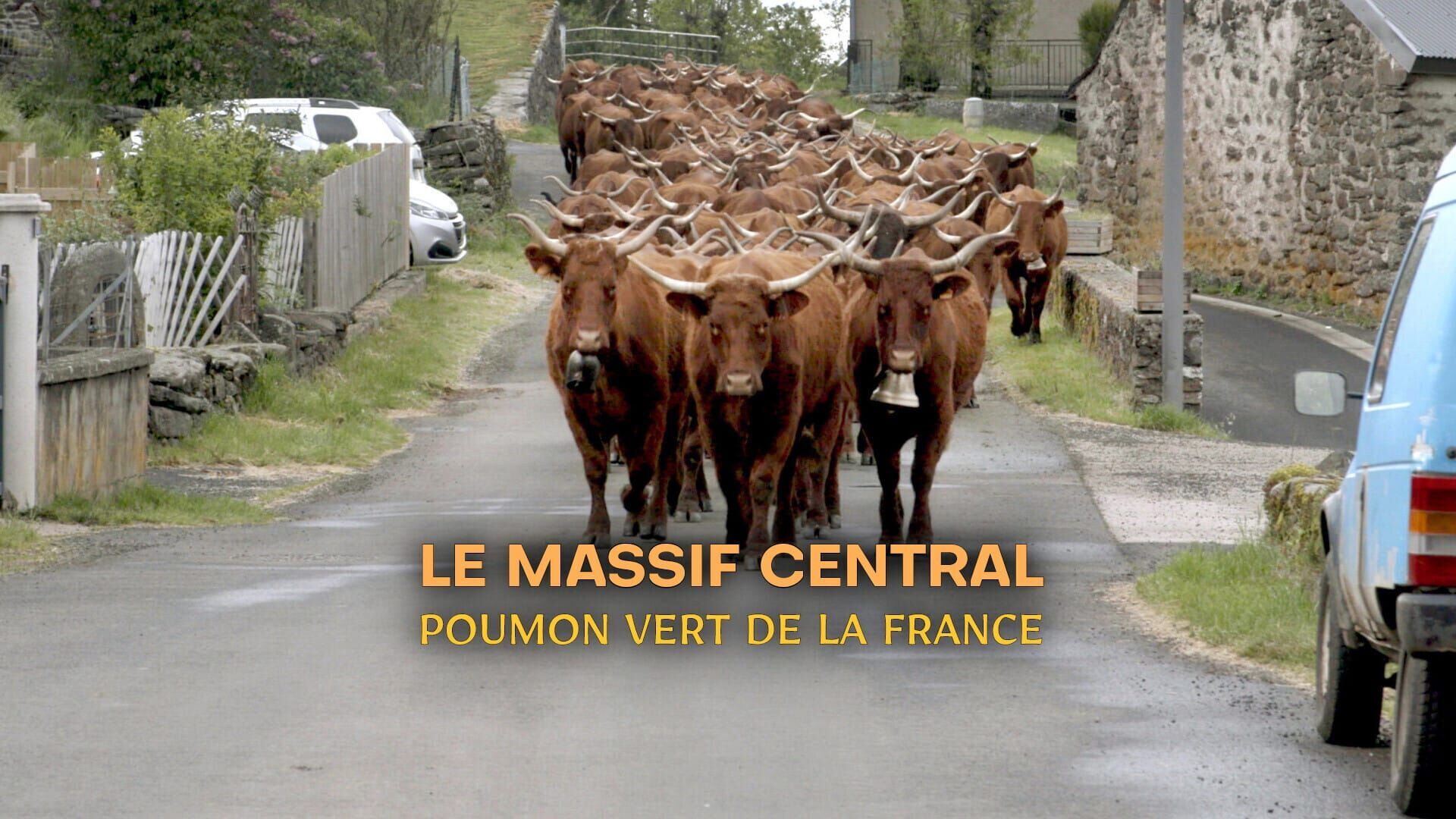 Une terre de volcans
