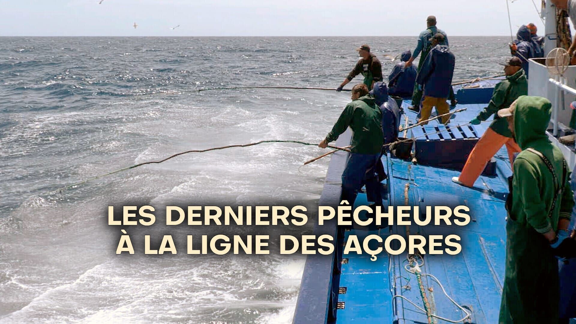 The Last Pole-and-Line Fishermen of the Azores