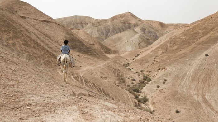Le chemin de l'école de Youssef (Cisjordanie)