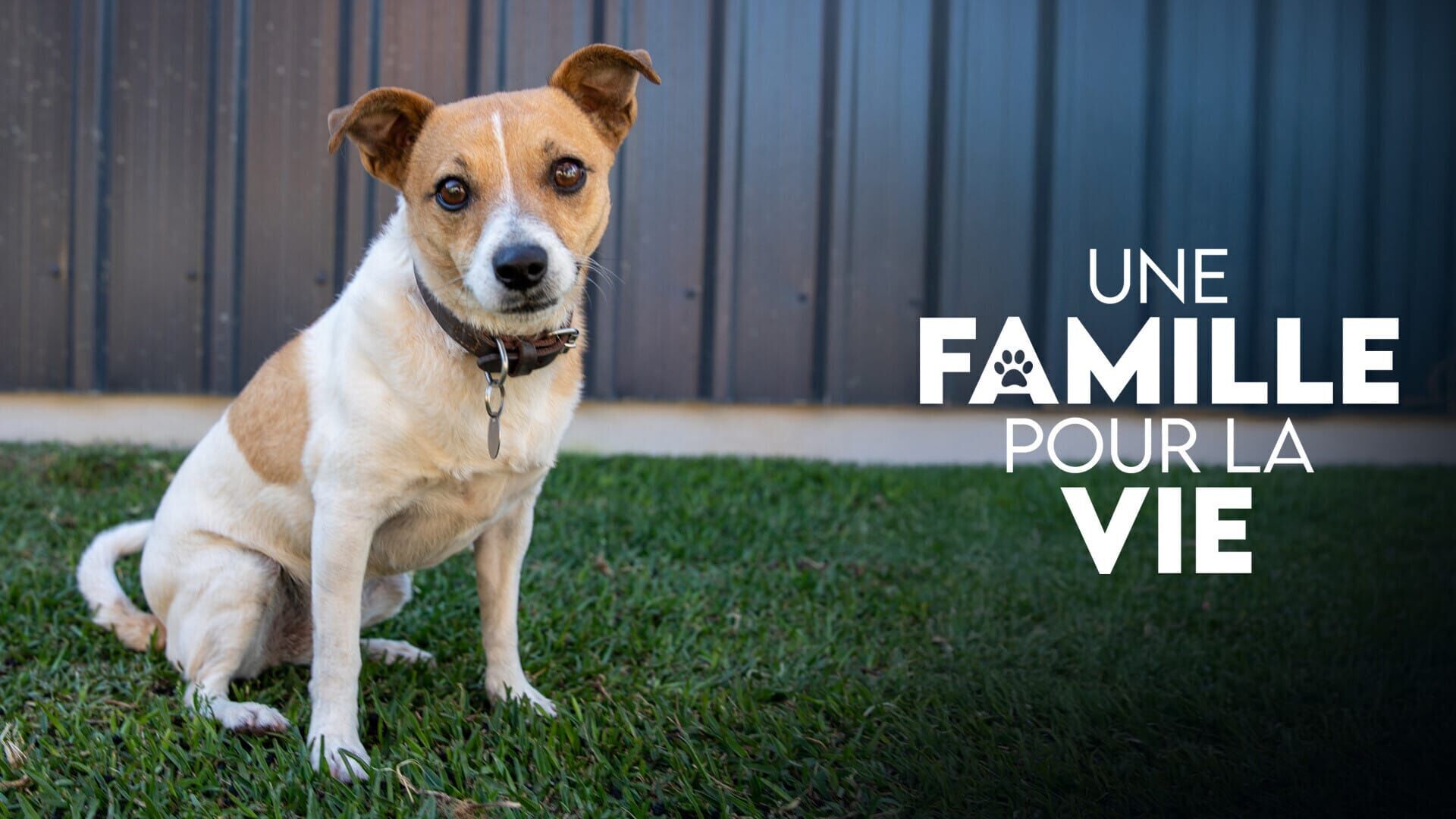 A nouveau en sécurité