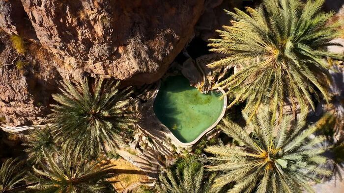 Oman, les jardins suspendus du djebel Akhdar