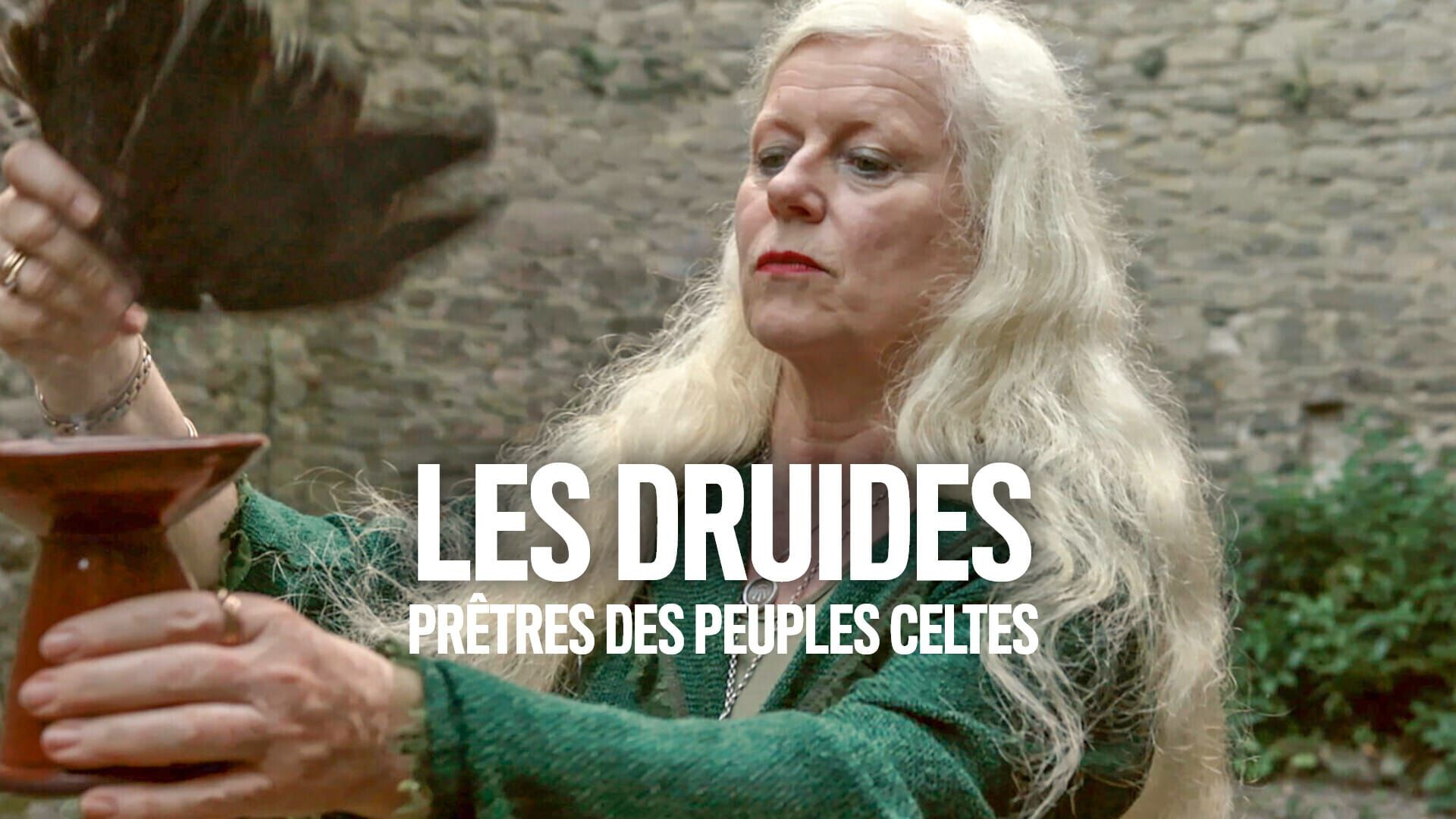 Les druides : prêtres des peuples celtes