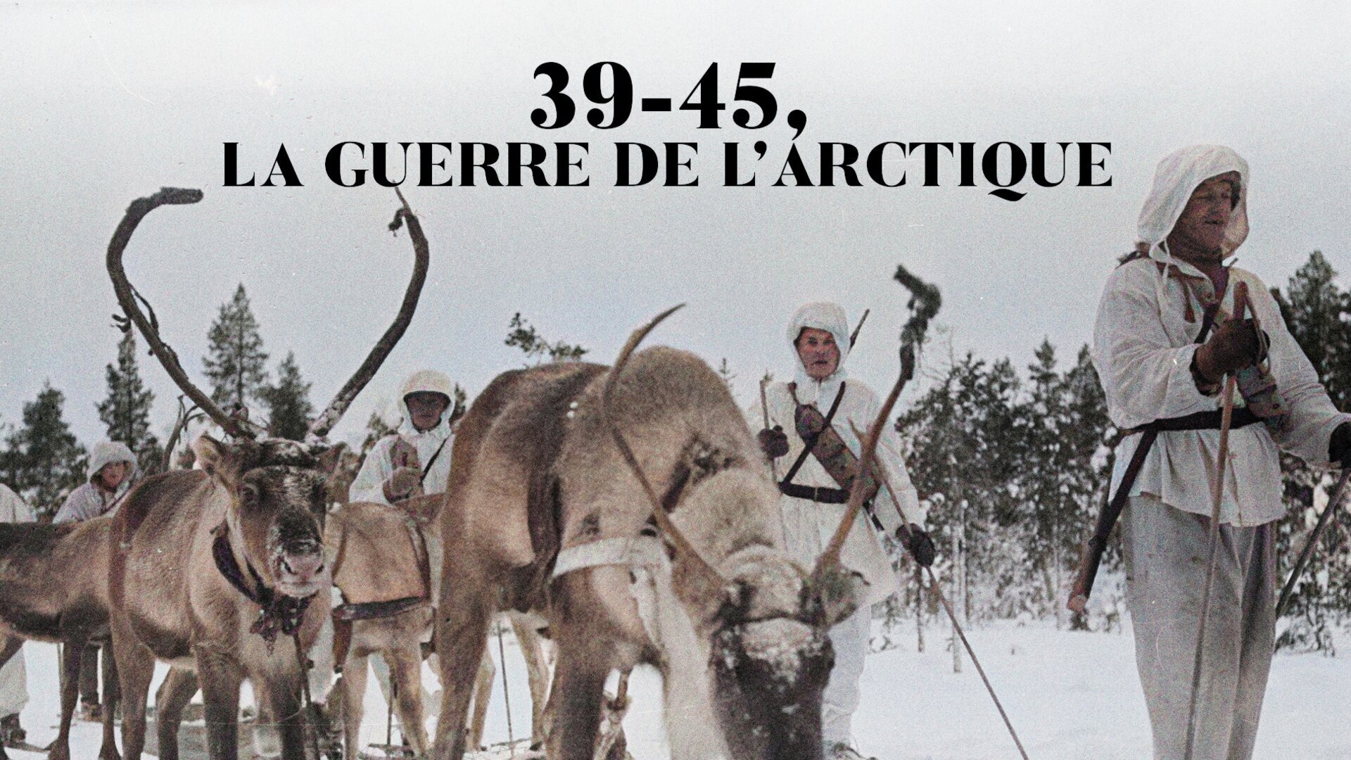L'Arctique en flammes