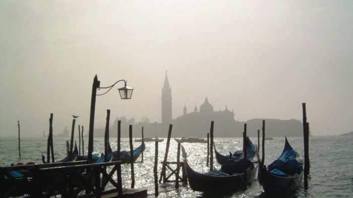 Wild Venice