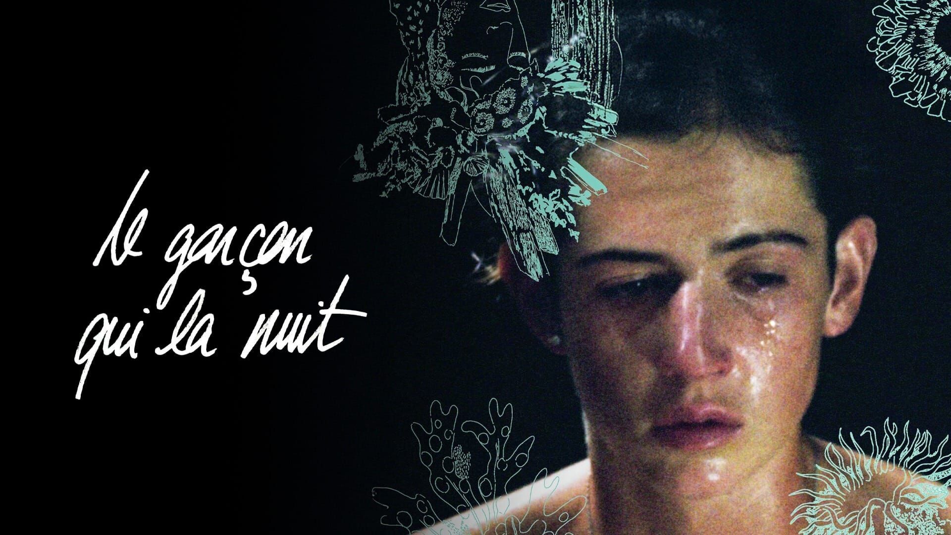 Le garcon qui la nuit