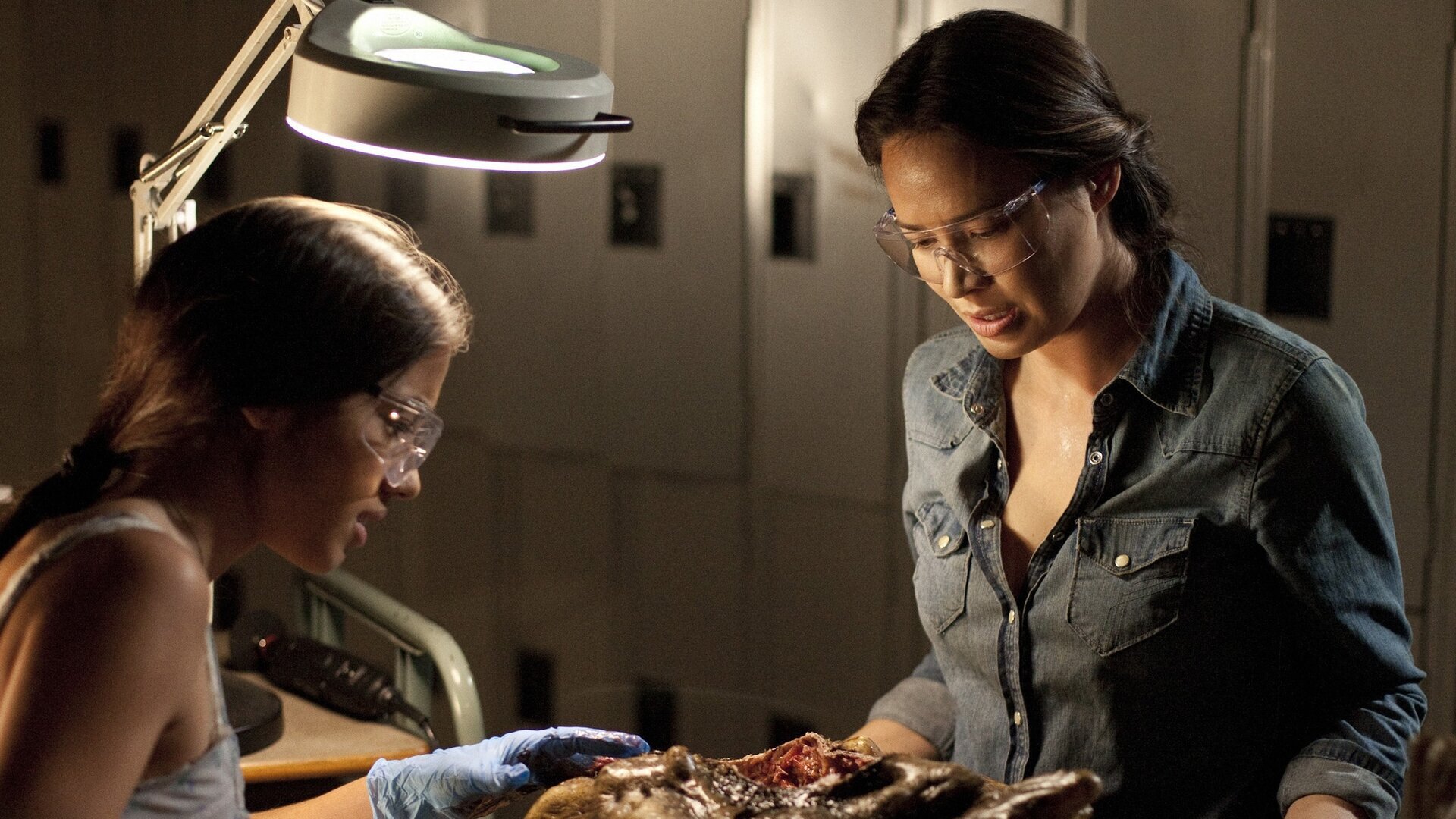 La face cachée du rampant