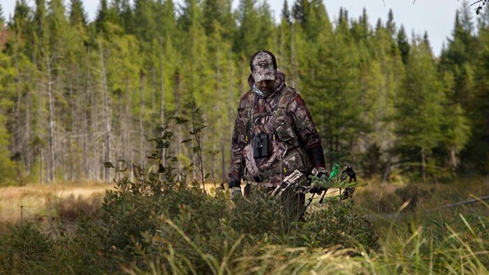 Chasse du cerf rouge au domaine du Wapiti