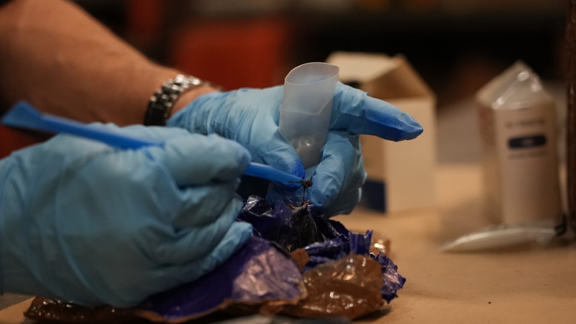 Petits crimes en famille