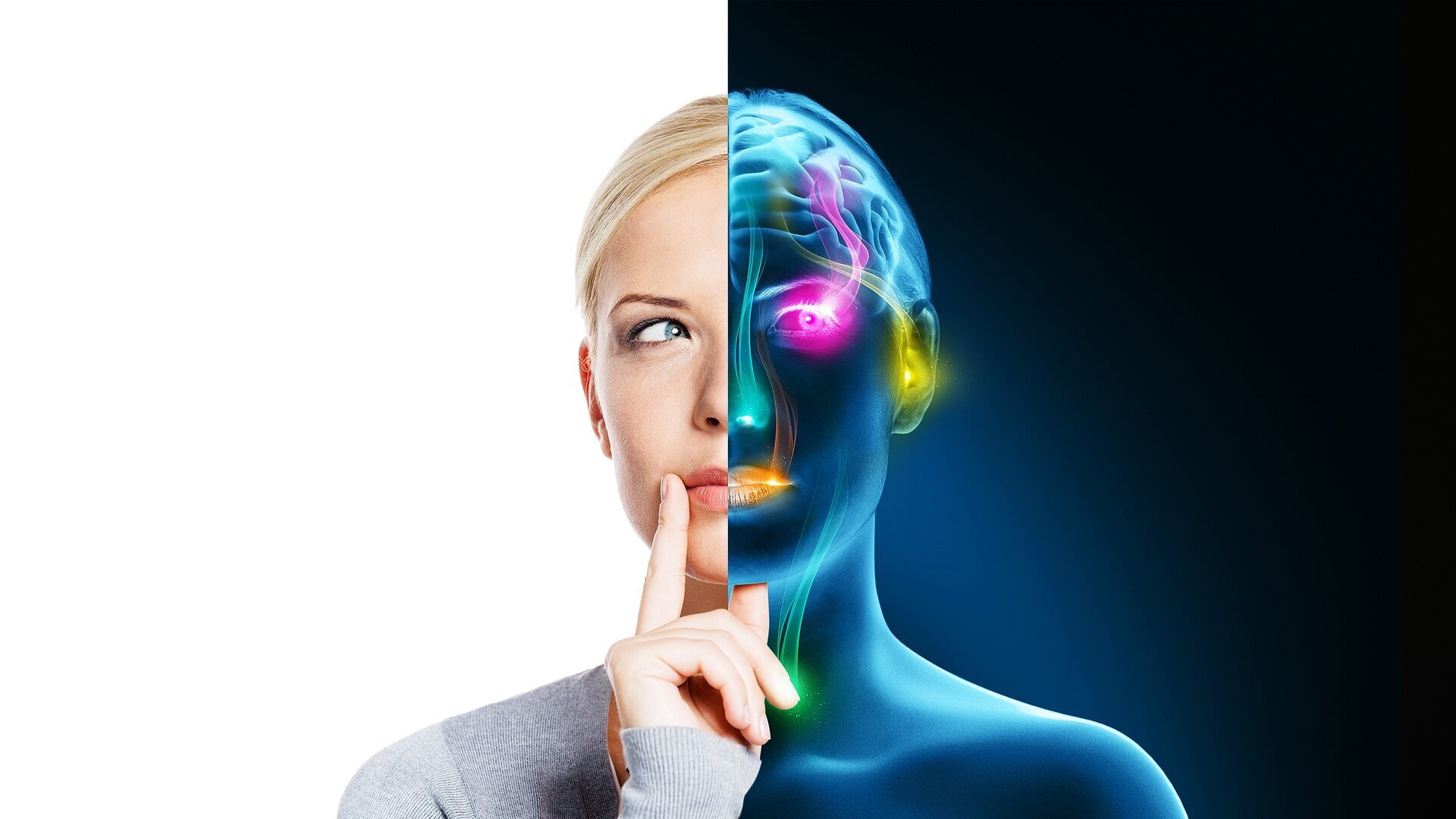 Les secrets de l'odorat