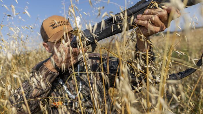 Chasse aux oiseaux migrateurs