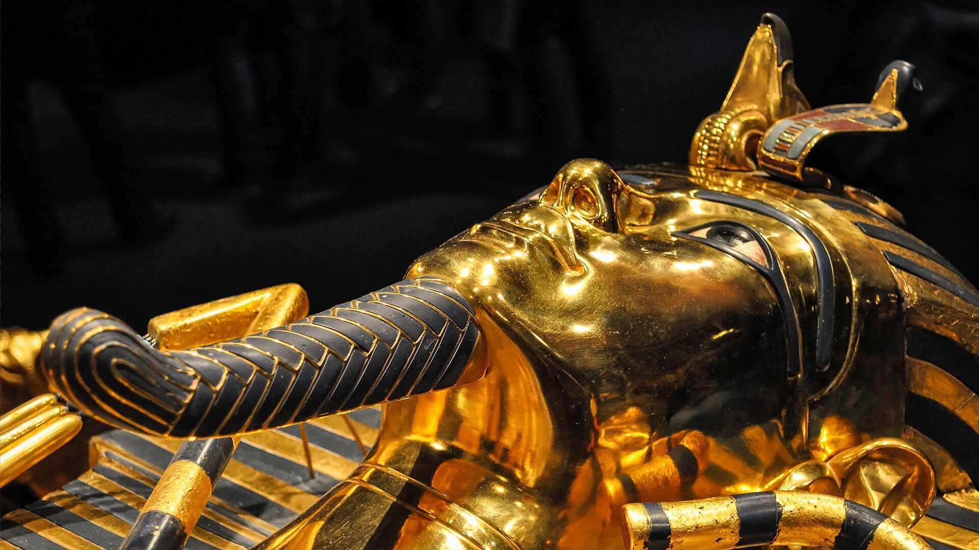 Sur les traces des momies