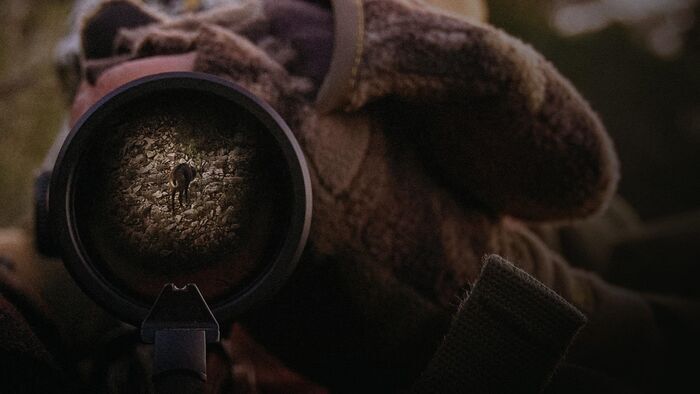Les secrets du gibier de montagne
