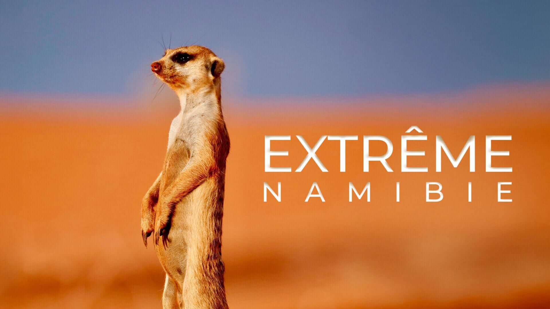 Survivre aux confins de l'extrême