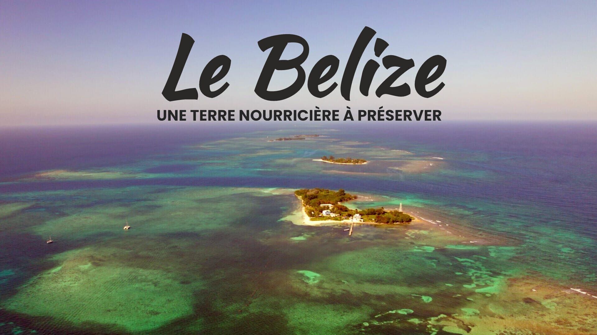 Le Belize : Une terre nourricière à préserver