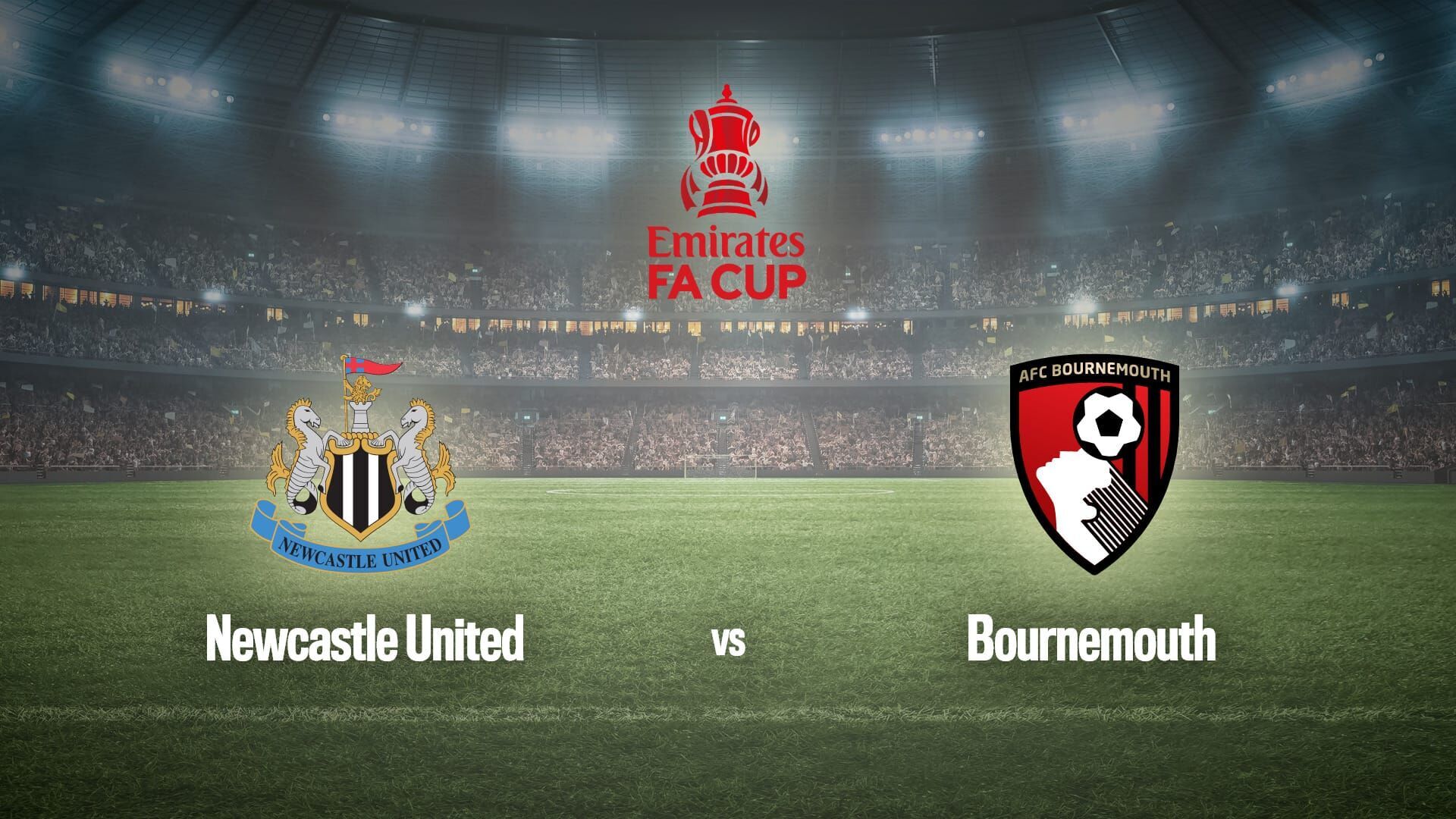 Football : Coupe d'Angleterre