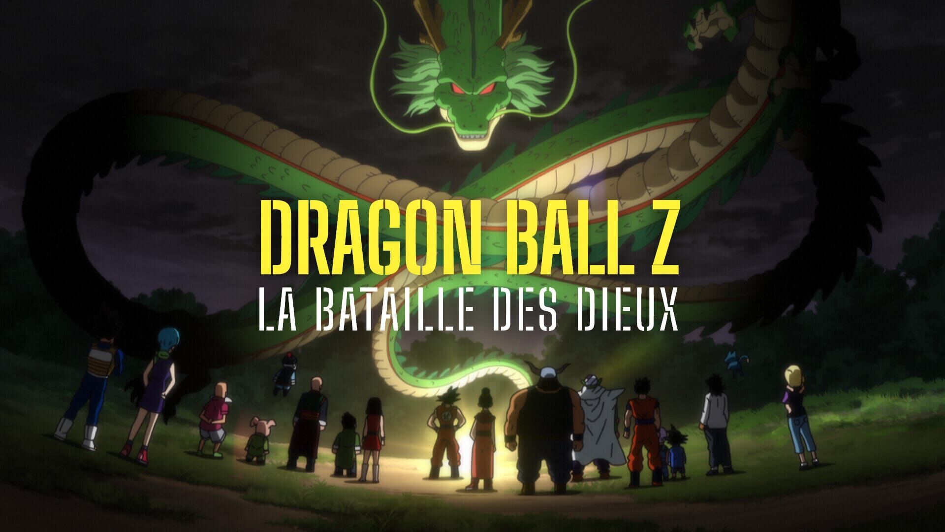 Dragon Ball Z : La bataille des dieux