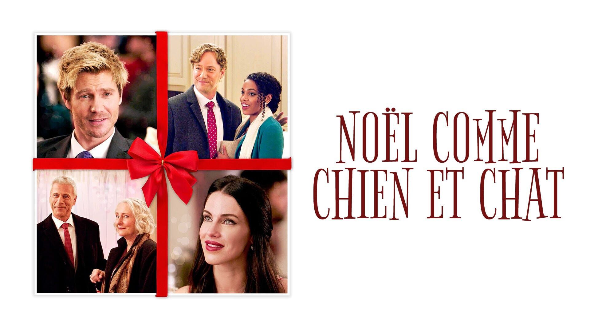 Noël comme chien et chat