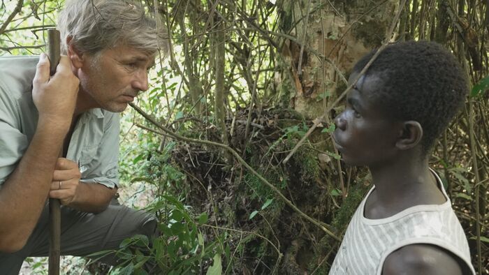 Congo : menace sur la forêt tropicale