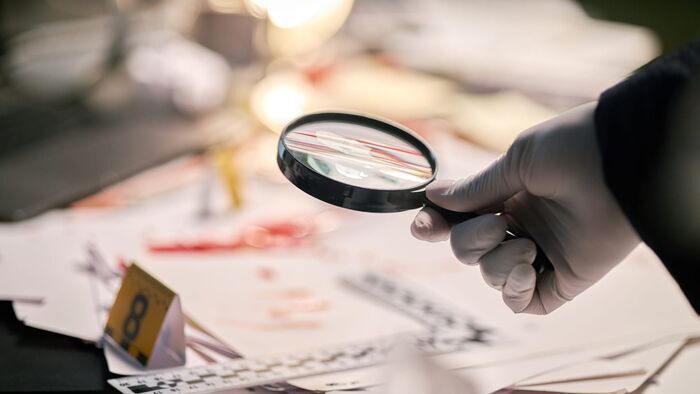 Private Investigation