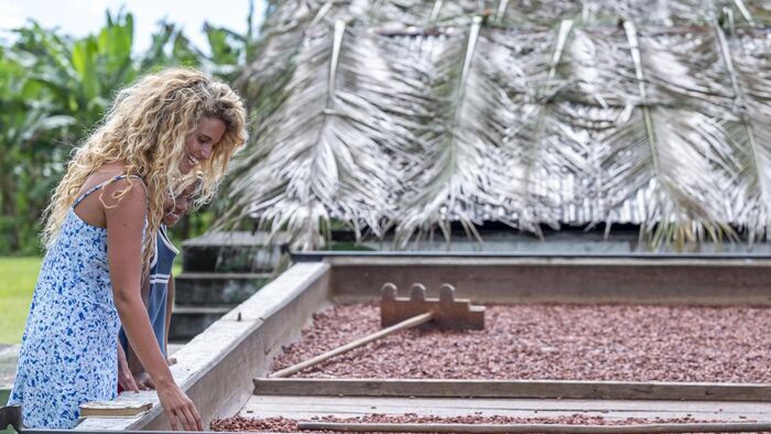 Cacao