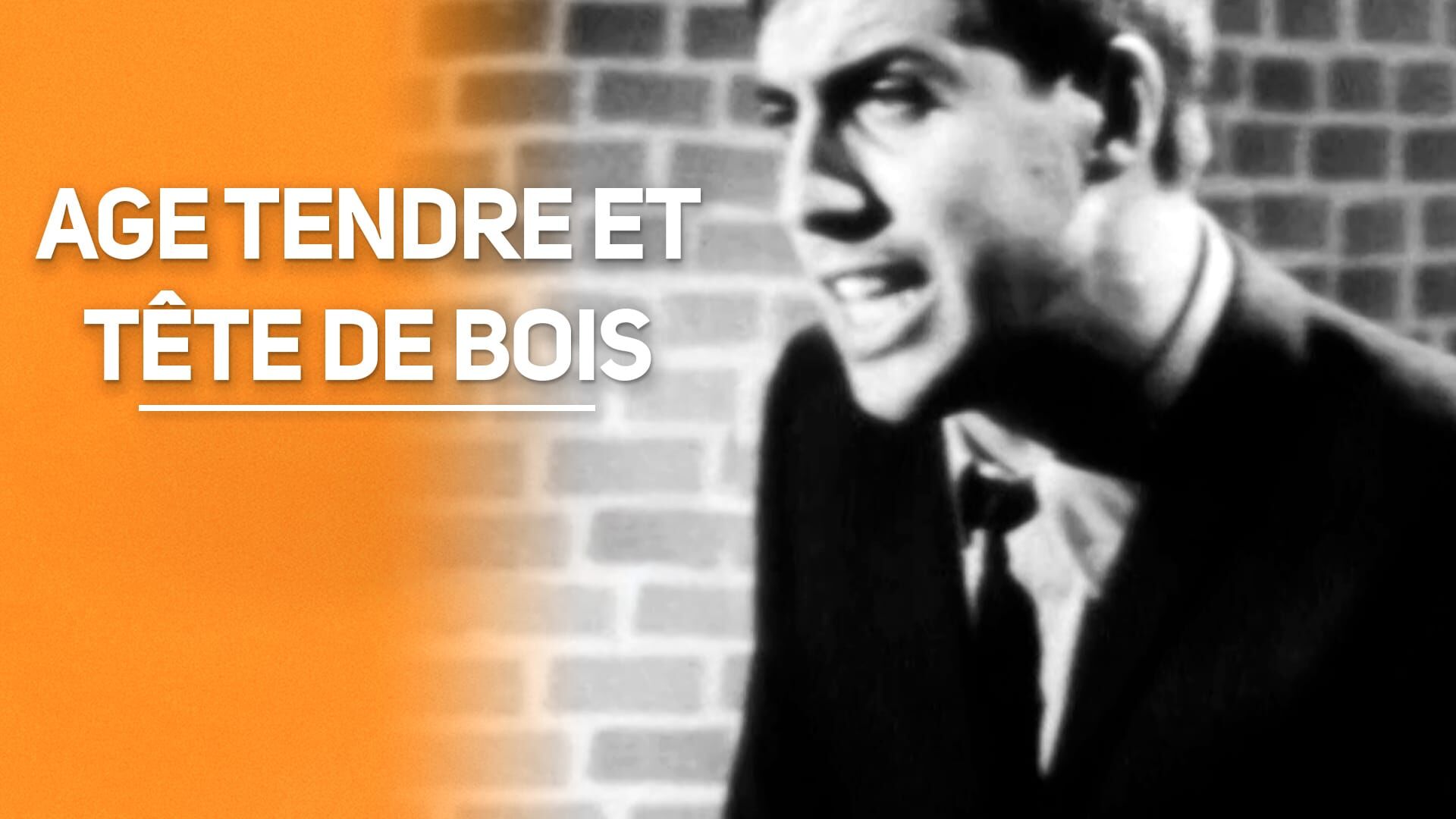 Age tendre et tête de bois