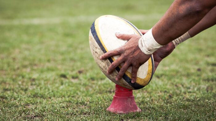 Rugby : Autumn Nations Series