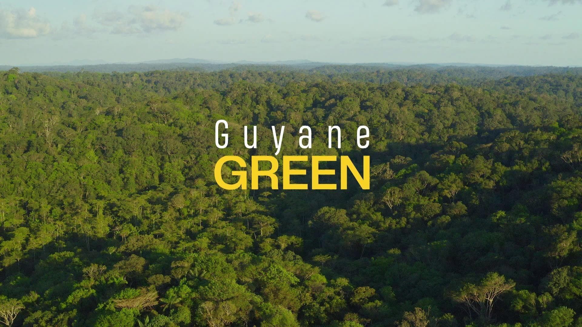 Guyane Green