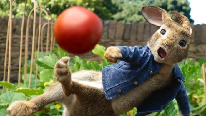 Pierre Lapin