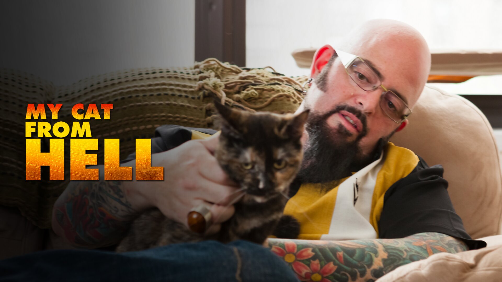 Querelles de chats