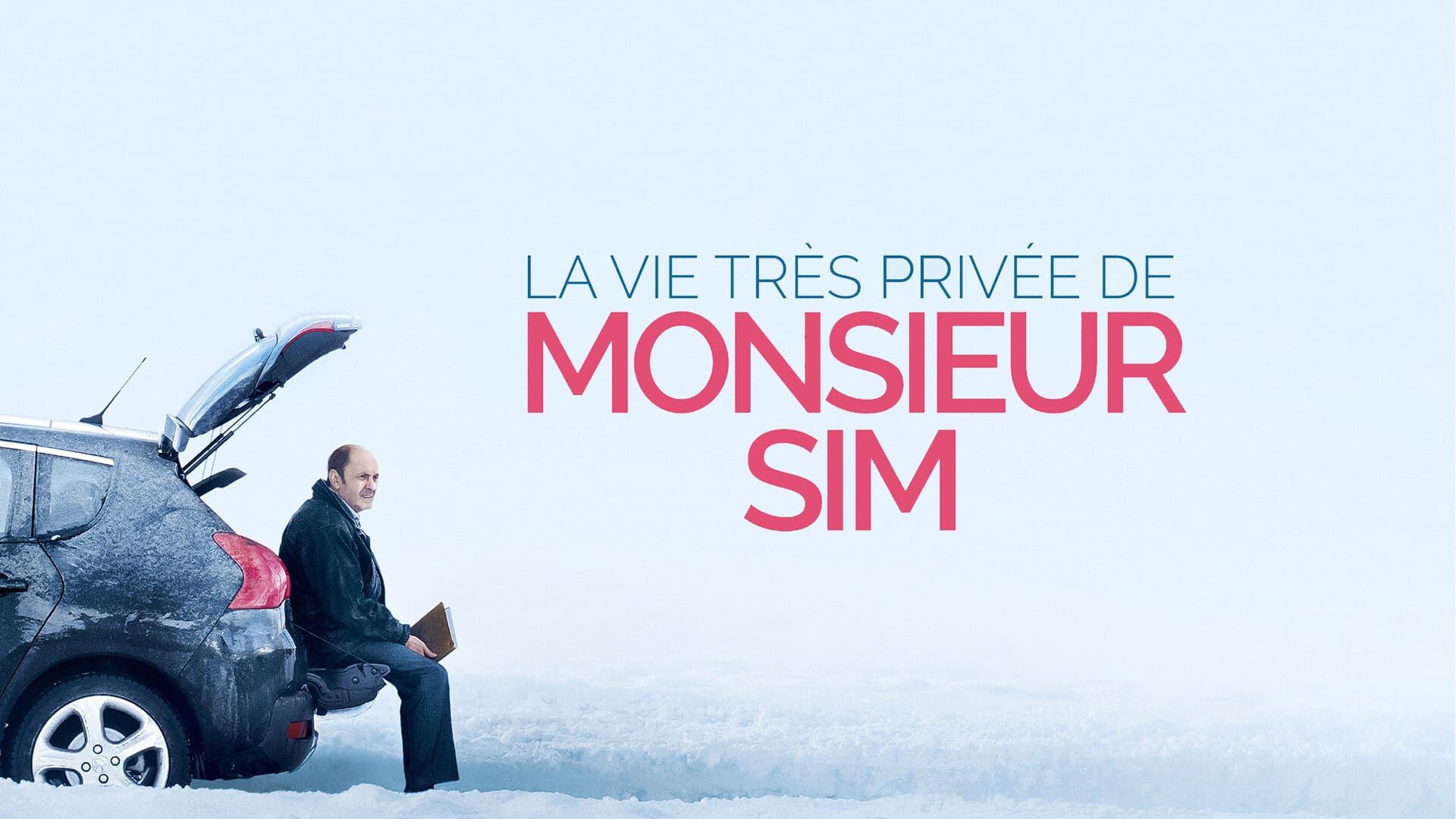 La vie très privée de Monsieur Sim